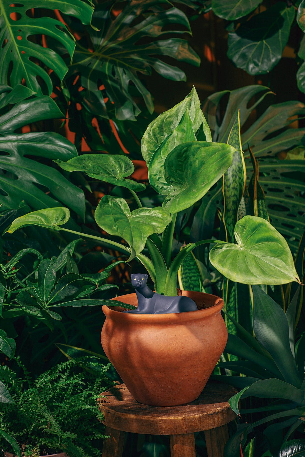 Jangal Panther - DOIY Design