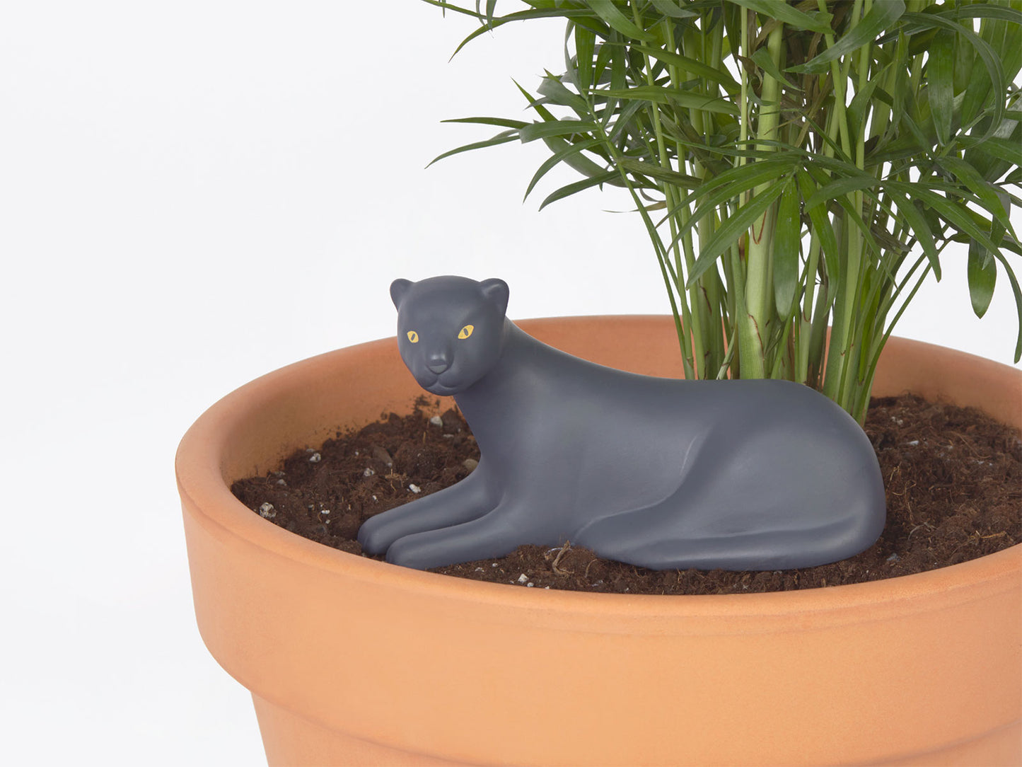 Jangal Panther - DOIY Design
