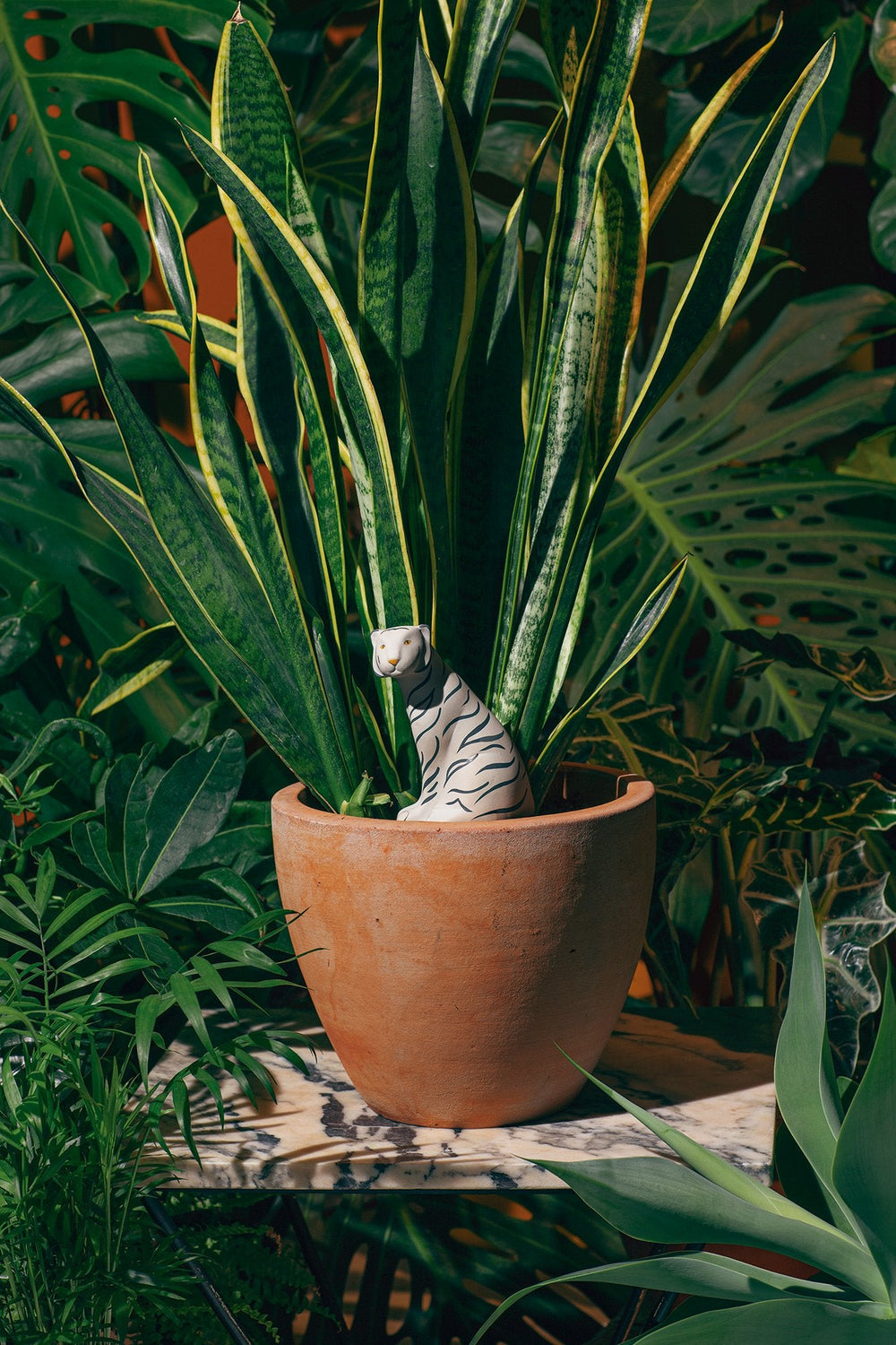 Jangal Tiger - DOIY Design