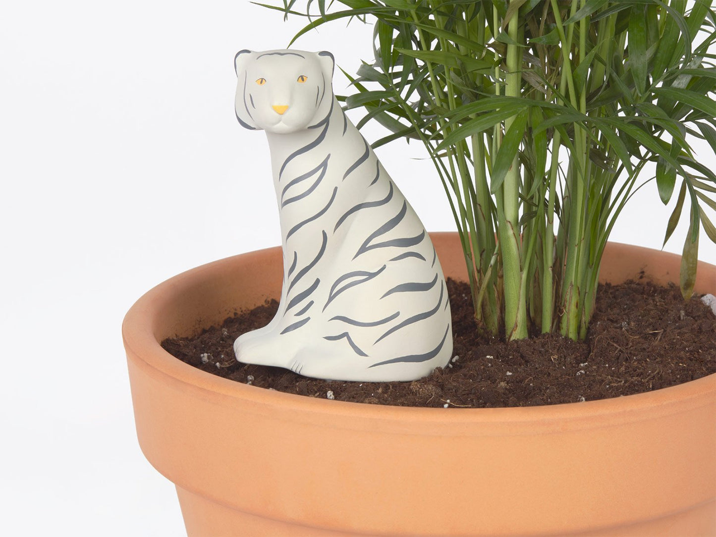 Jangal Tiger - DOIY Design