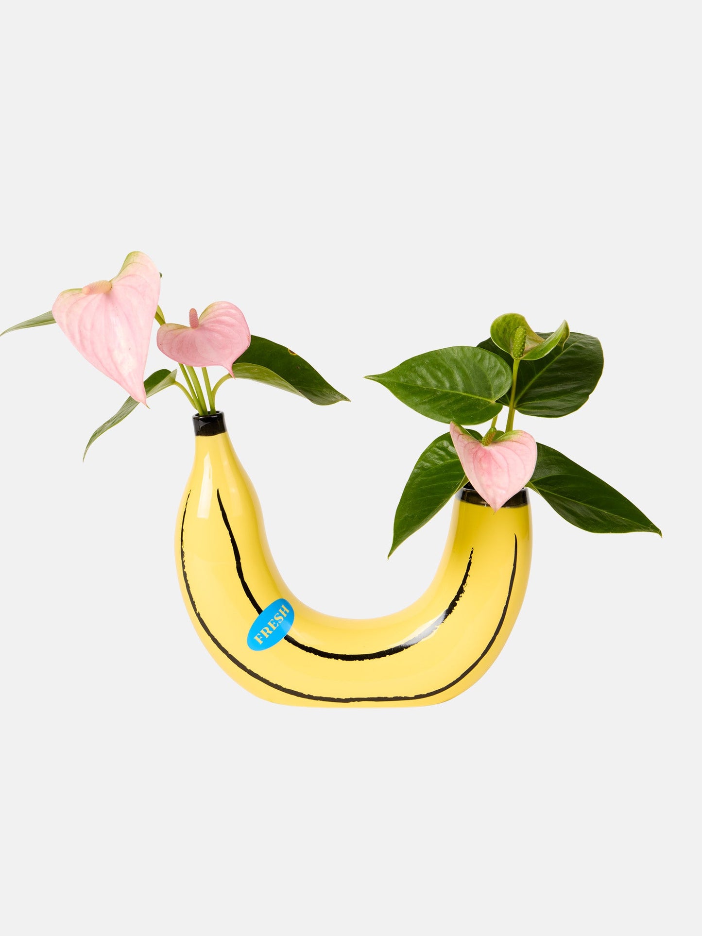 Farmers' Market Banana Vase - DOIY Design
