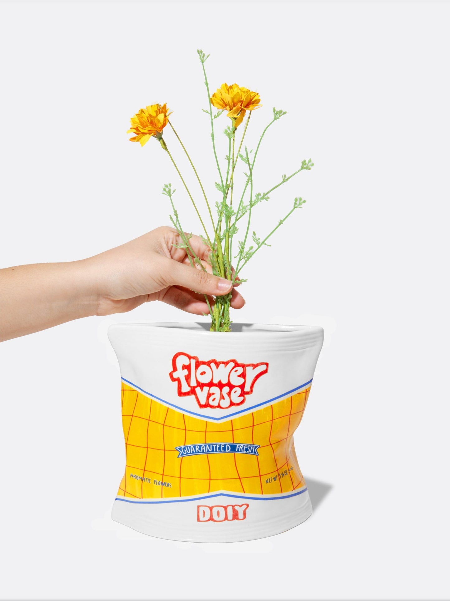 Corner Shop Vase Chips Bag - DOIY Design