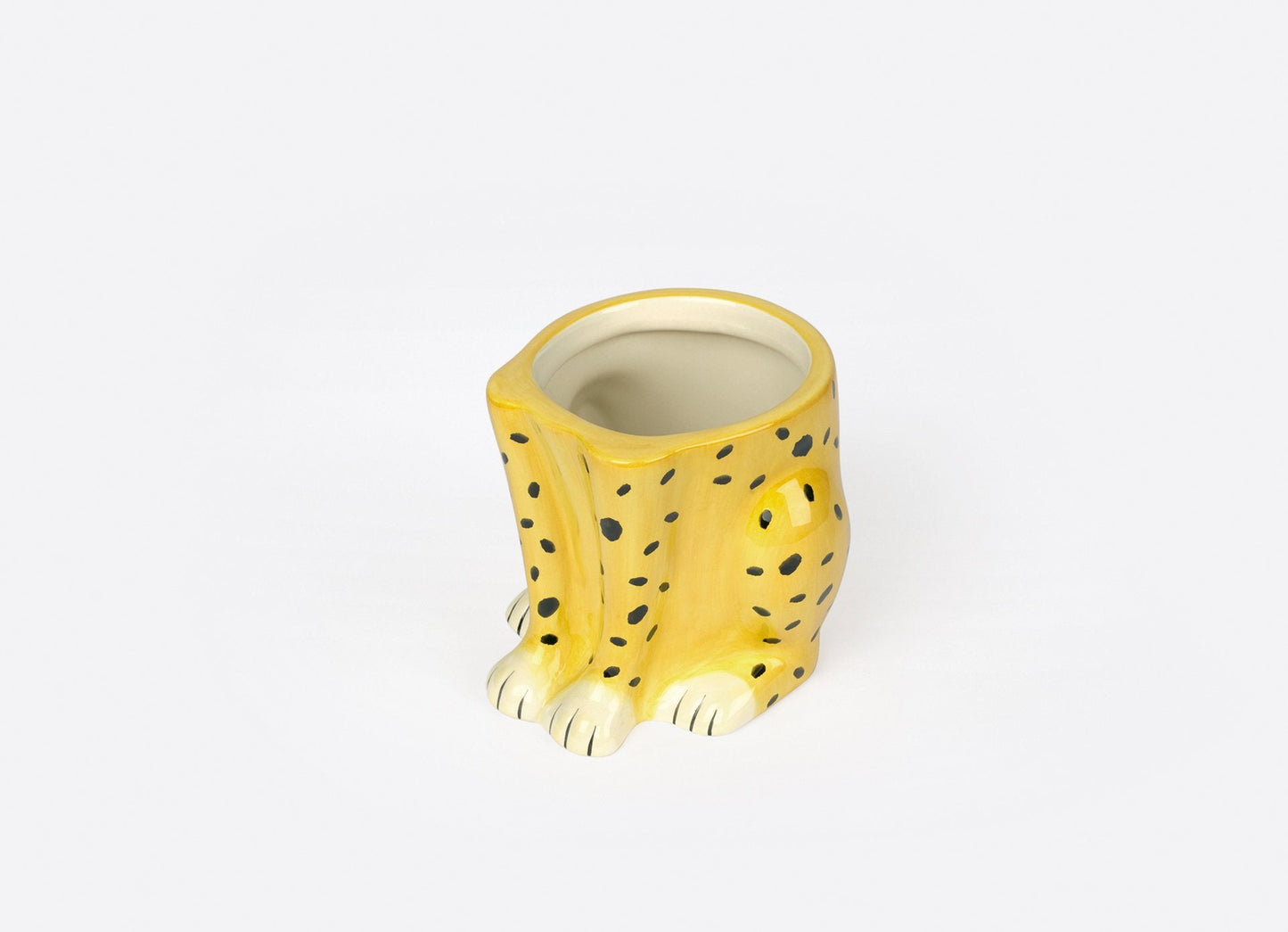 Cheetah Plant Pot