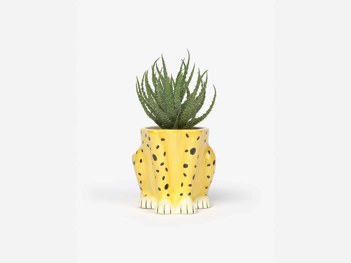 Cheetah Plant Pot